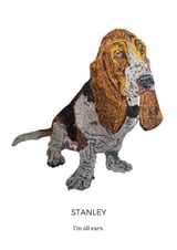 Stanley Basset Hound All Ears by Glitterbug Gifts thumbnail