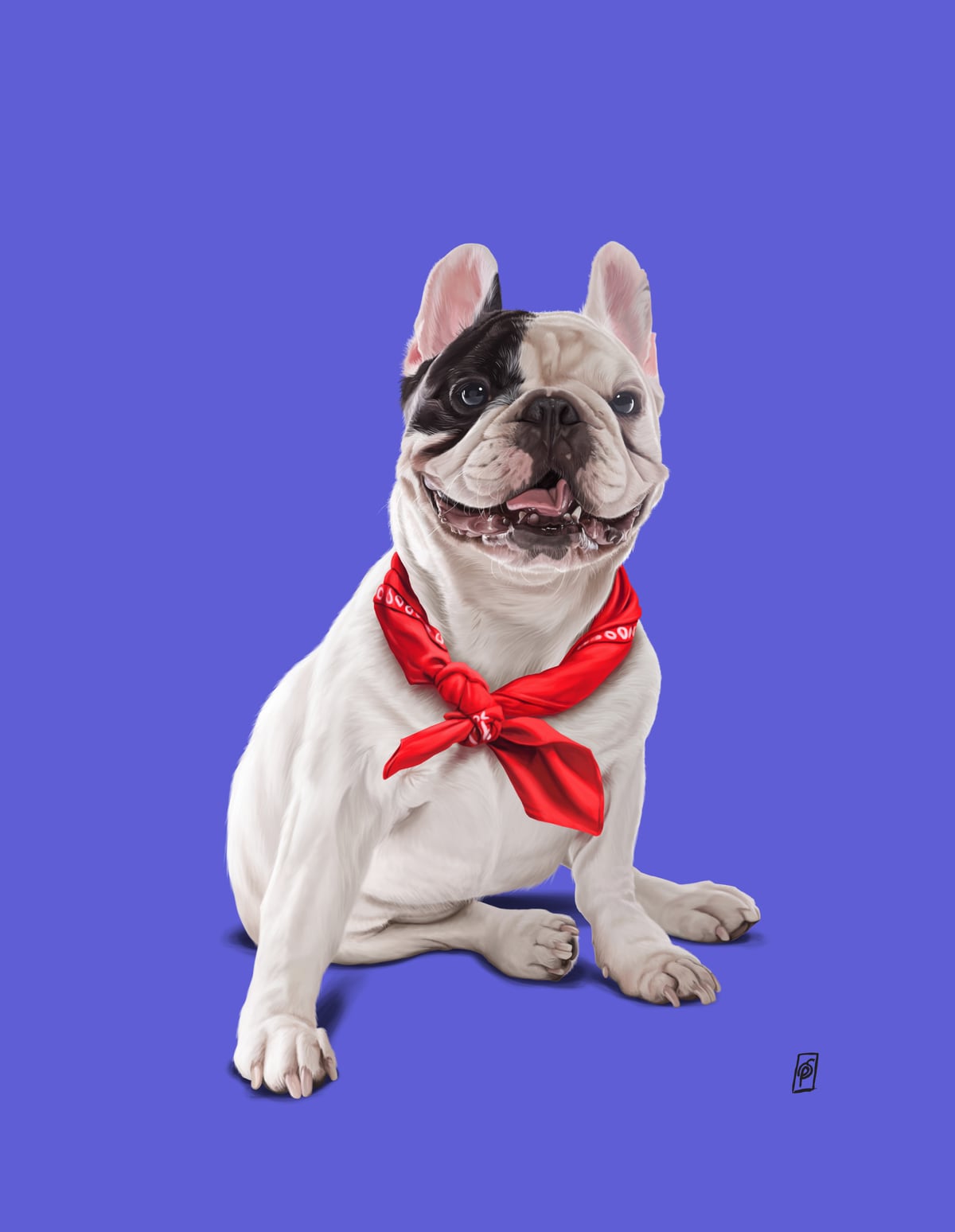 Frenchie (Colour) by Rob Snow
