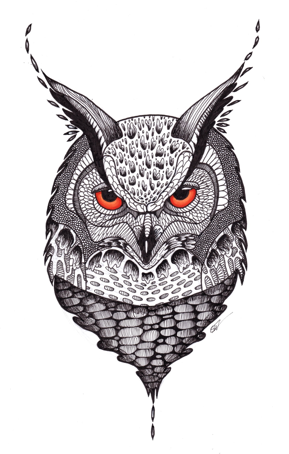 Owl by Featherwind