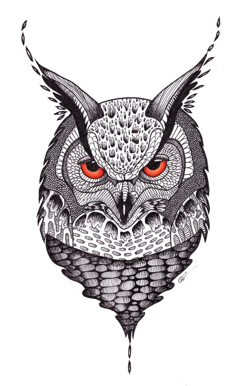 Owl by Featherwind
