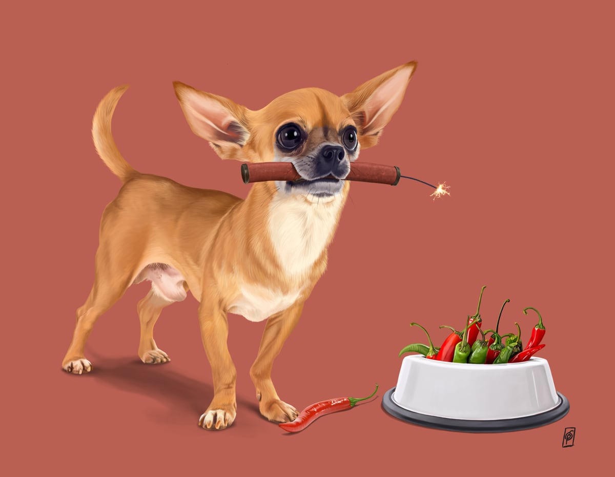 Spicy (Colour) by Rob Snow