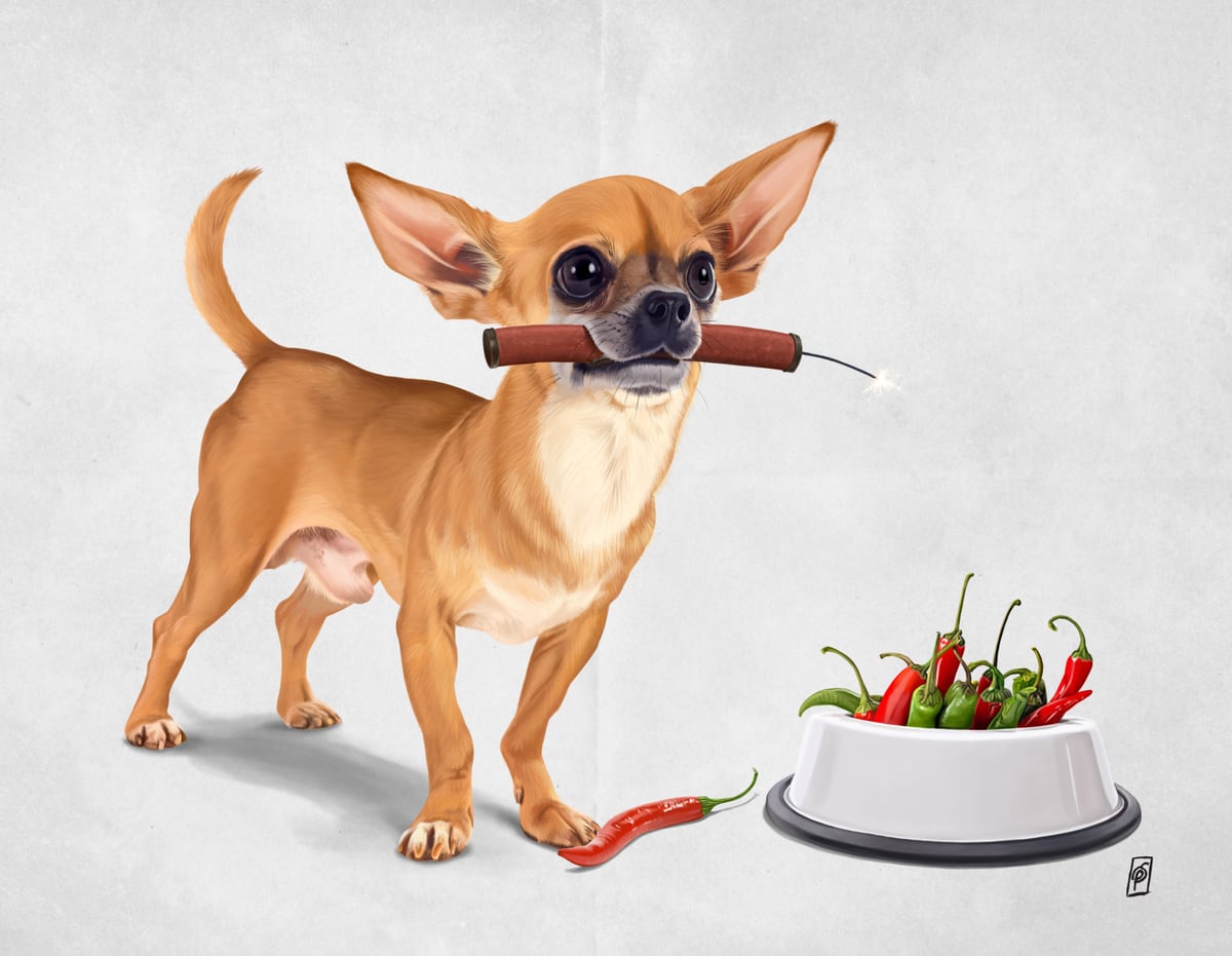 Spicy (Wordless) by Rob Snow