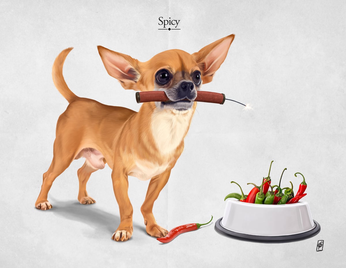 Spicy by Rob Snow
