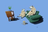 Sheep Colour by Rob Snow thumbnail