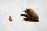 Brunt Wordless by Rob Snow thumbnail