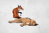Not So Wordless by Rob Snow thumbnail