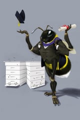 To Be Or Not Too Bee Colour by Rob Snow thumbnail