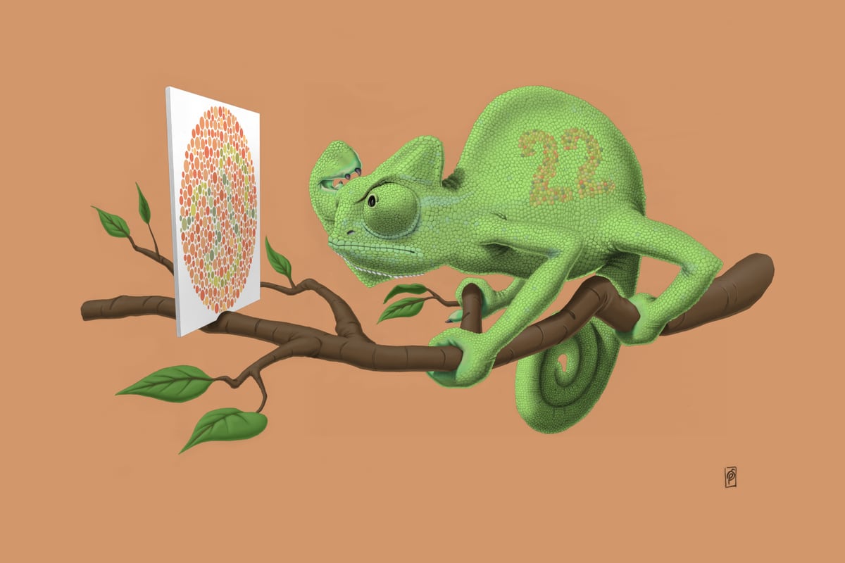 Cant See It Myself by Rob Snow