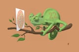 Cant See It Myself by Rob Snow thumbnail