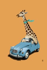 Riding High Colour by Rob Snow thumbnail