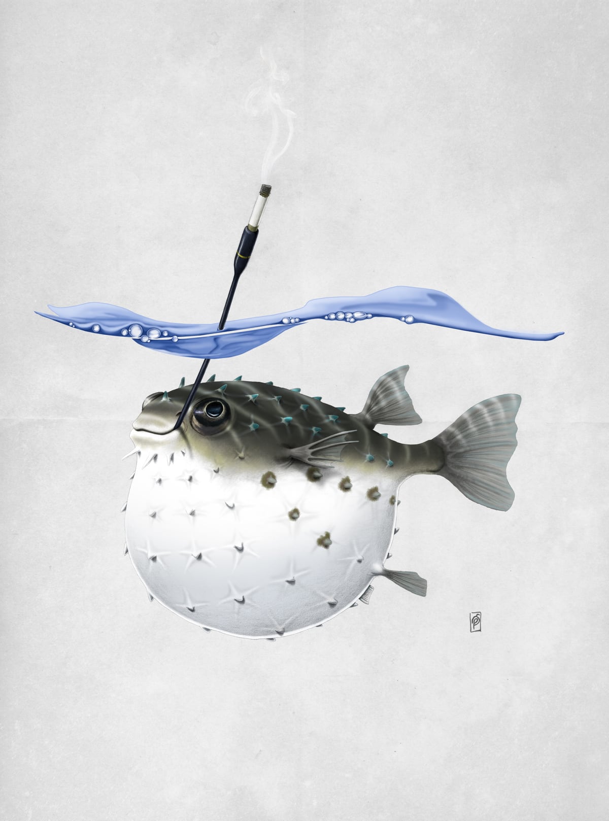 Take It Outside Wordless by Rob Snow