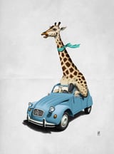 Riding High Wordless by Rob Snow thumbnail