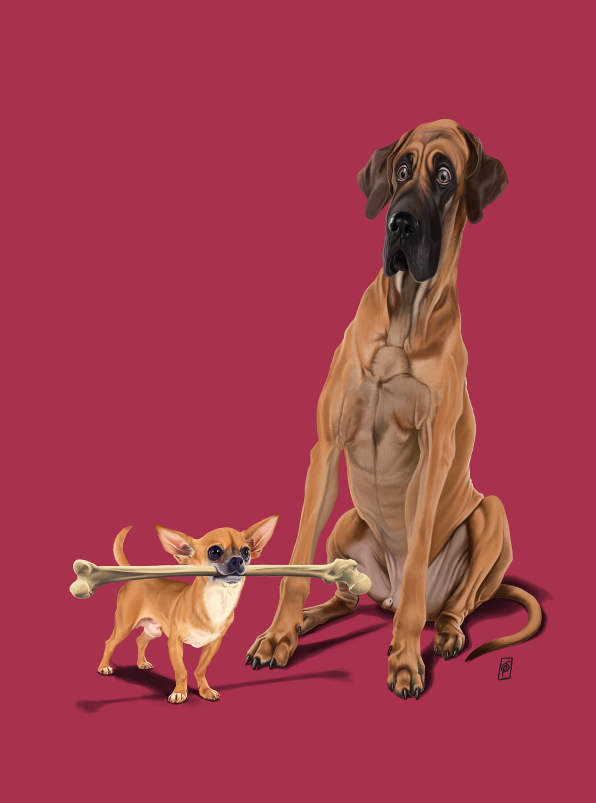 The Long and the Short and the Tall (Colour) by Rob Snow