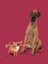 The Long and the Short and the Tall (Colour) by Rob Snow thumbnail