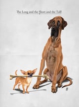 The Long and the Short and the Tall by Rob Snow thumbnail