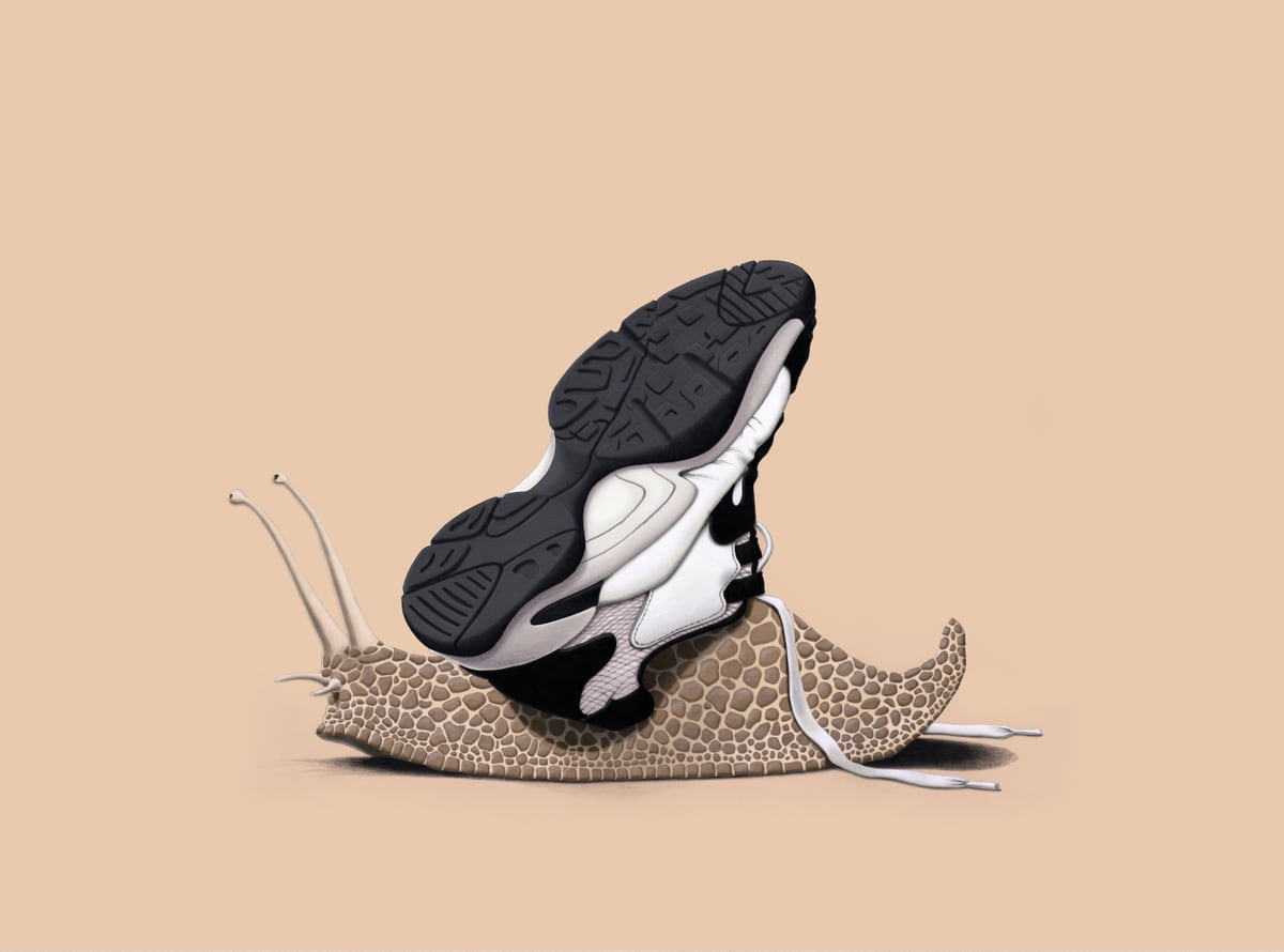The Sneaker Colour by Rob Snow