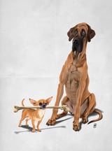 The Long and the Short and the Tall (Wordless) by Rob Snow thumbnail