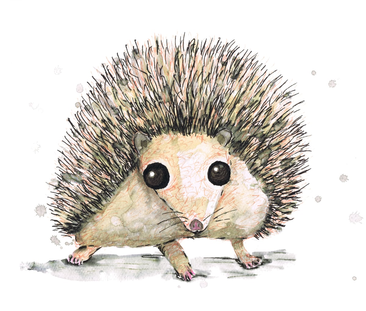 Hedgehog by Bwiselizzy