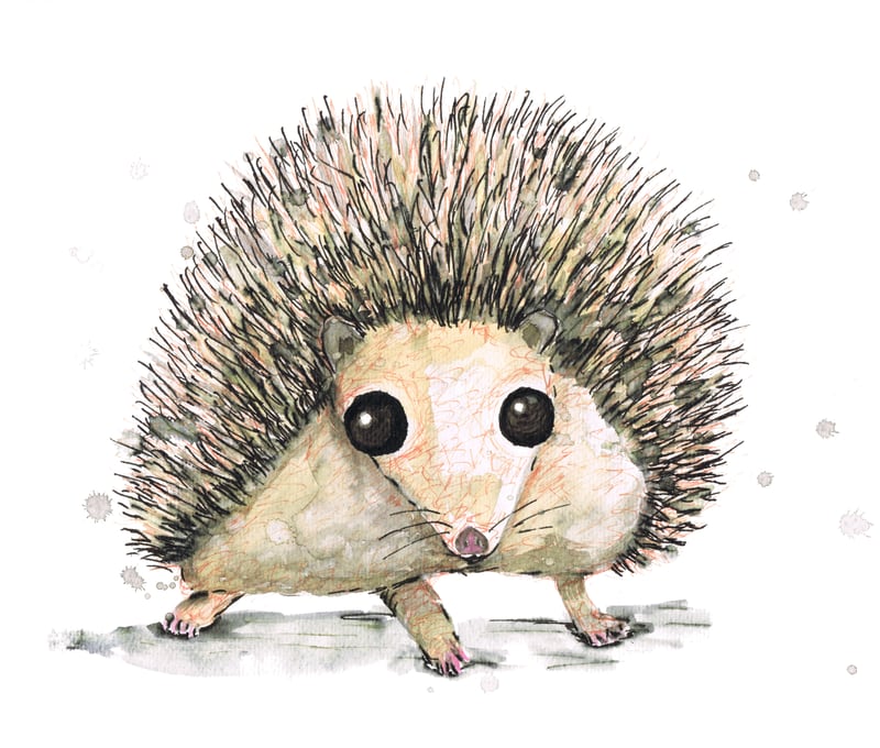 Hedgehog by Bwiselizzy