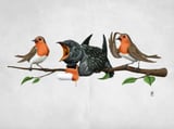 Cock Robin Wordless by Rob Snow thumbnail