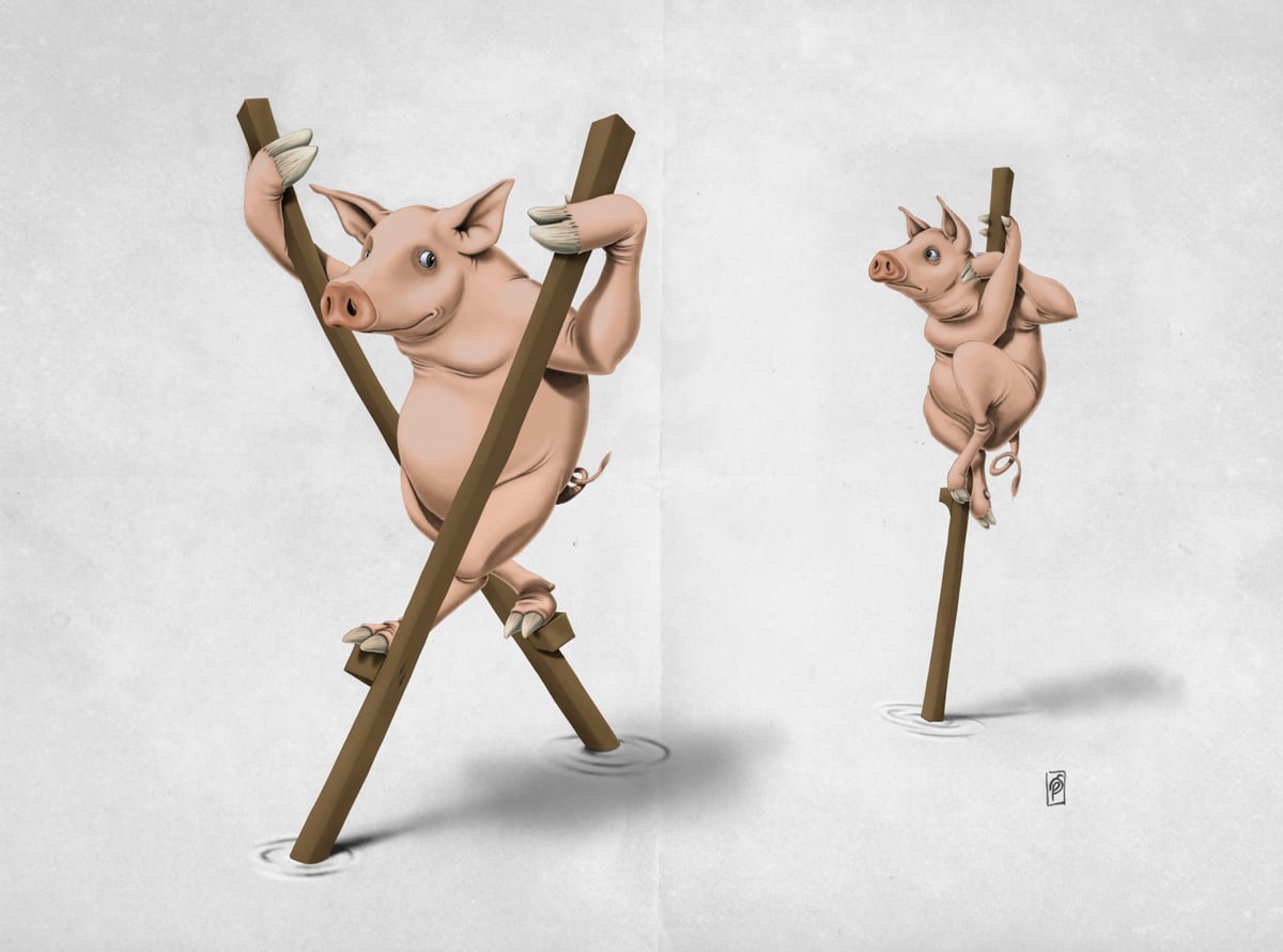 Stick In The Mud Wordless by Rob Snow