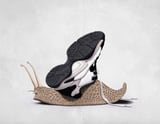 The Sneaker Wordless by Rob Snow thumbnail