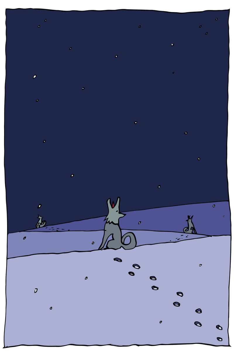 Dogs in Winter Night by BlackLineWhite