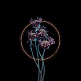 Candy-Coloured Mystery by Tasha Marie thumbnail