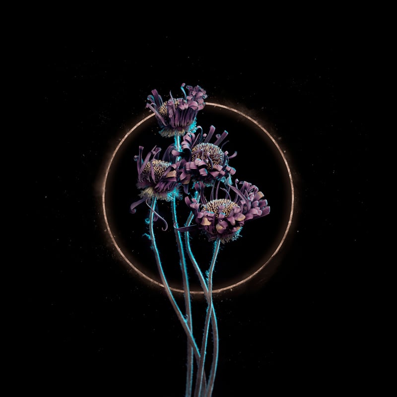 Candy-Coloured Mystery by Tasha Marie