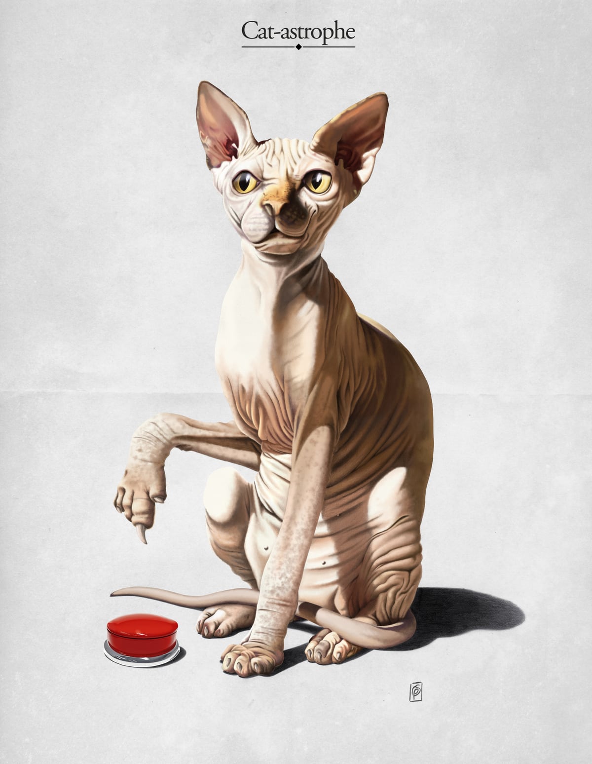 Catastrophe by Rob Snow