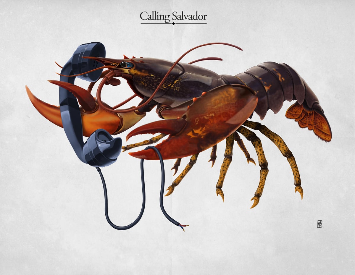 Calling Salvador by Rob Snow