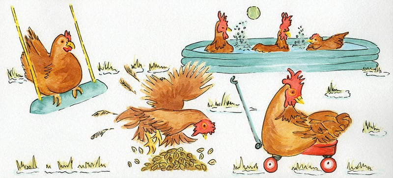 Bored Chickens by Georgina Talfana