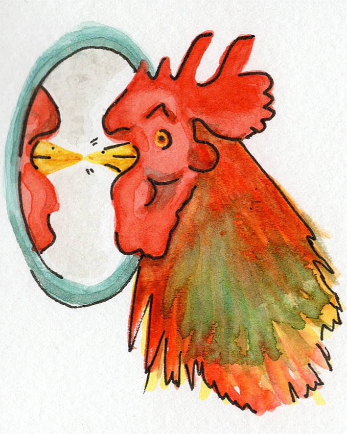 Rooster by Georgina Talfana