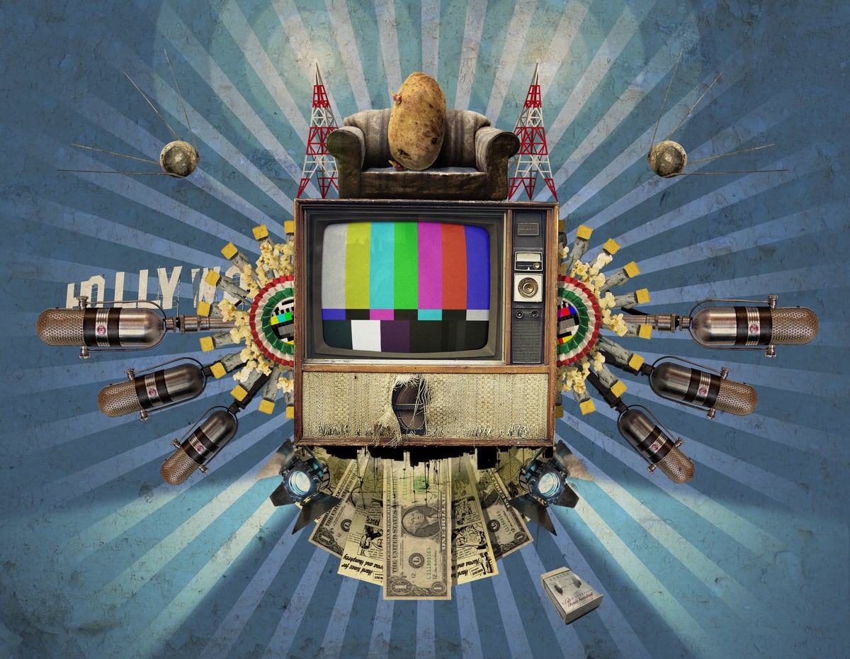 The Television Will Not Be Revolutionised! by Rob Snow