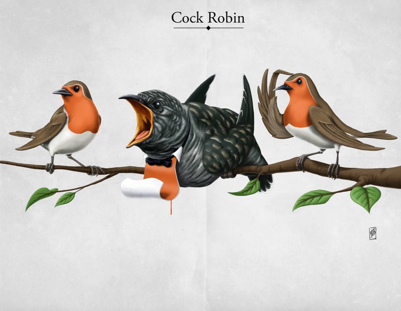 Cock Robin by Rob Snow