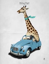 Riding High by Rob Snow thumbnail