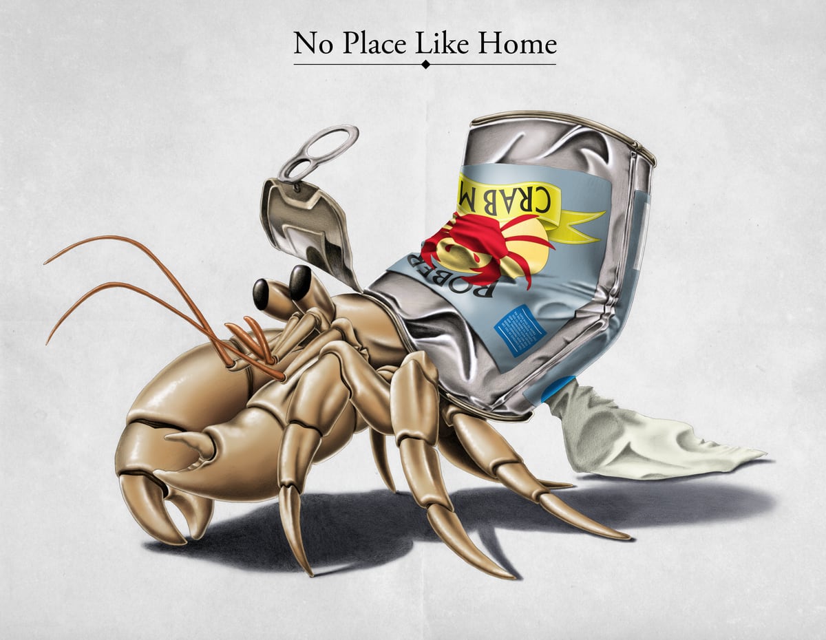 No Place Like Home by Rob Snow