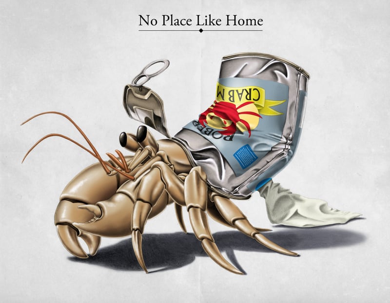 No Place Like Home by Rob Snow