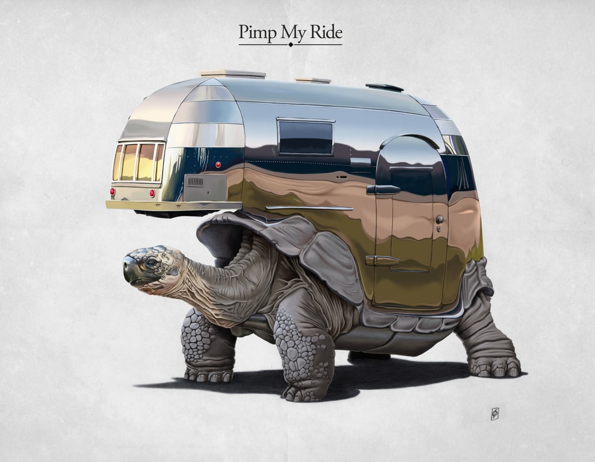 Pimp My Ride by Rob Snow