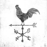 Weather Vane by Mike Koubou thumbnail