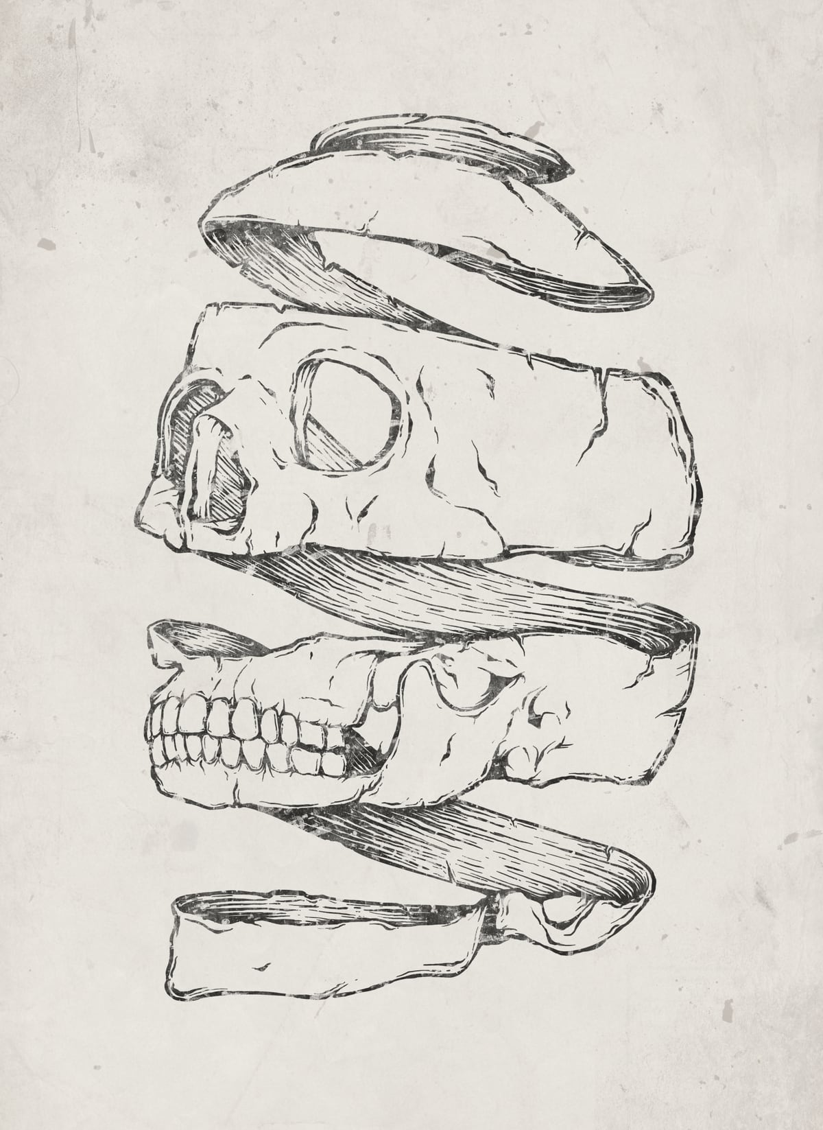 Twister Skull by Mike Koubou