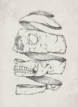 Twister Skull by Mike Koubou thumbnail