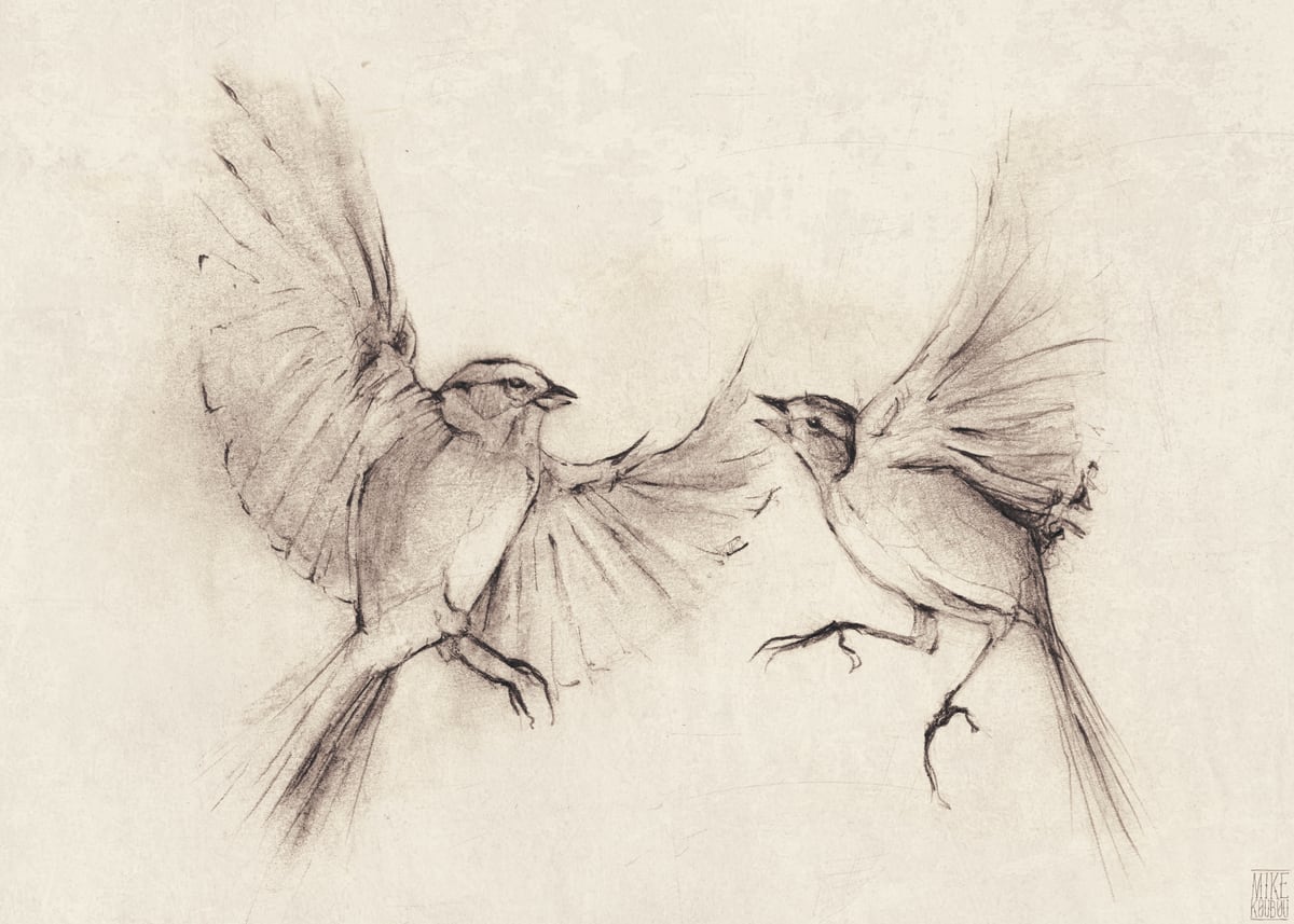 Birds by Mike Koubou