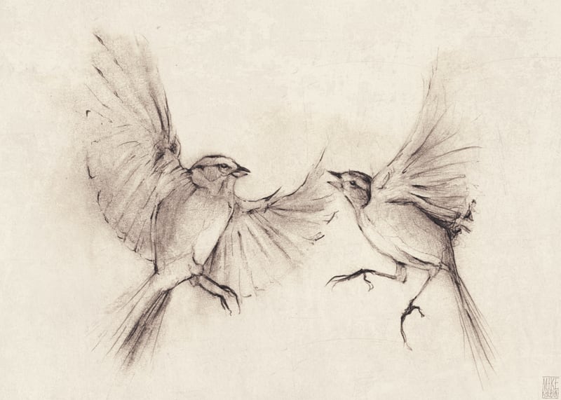 Birds by Mike Koubou