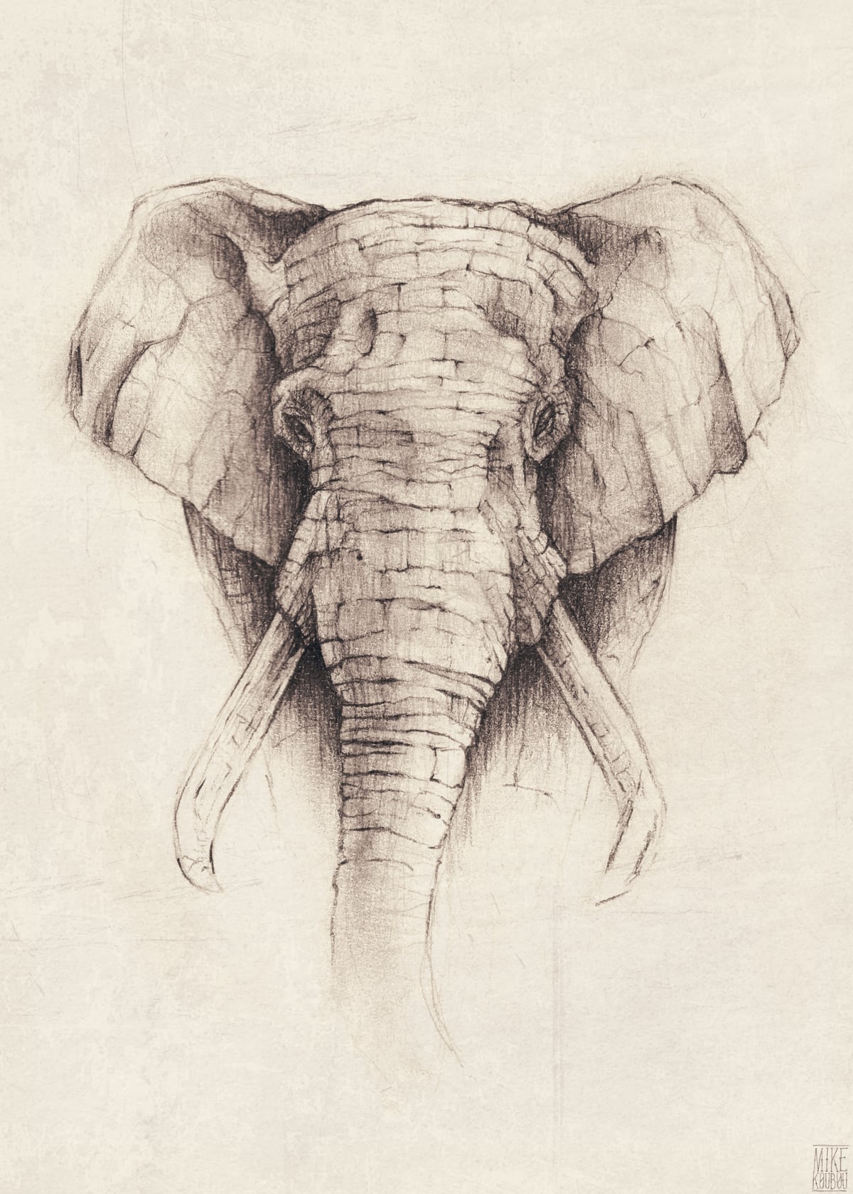 Elephant by Mike Koubou