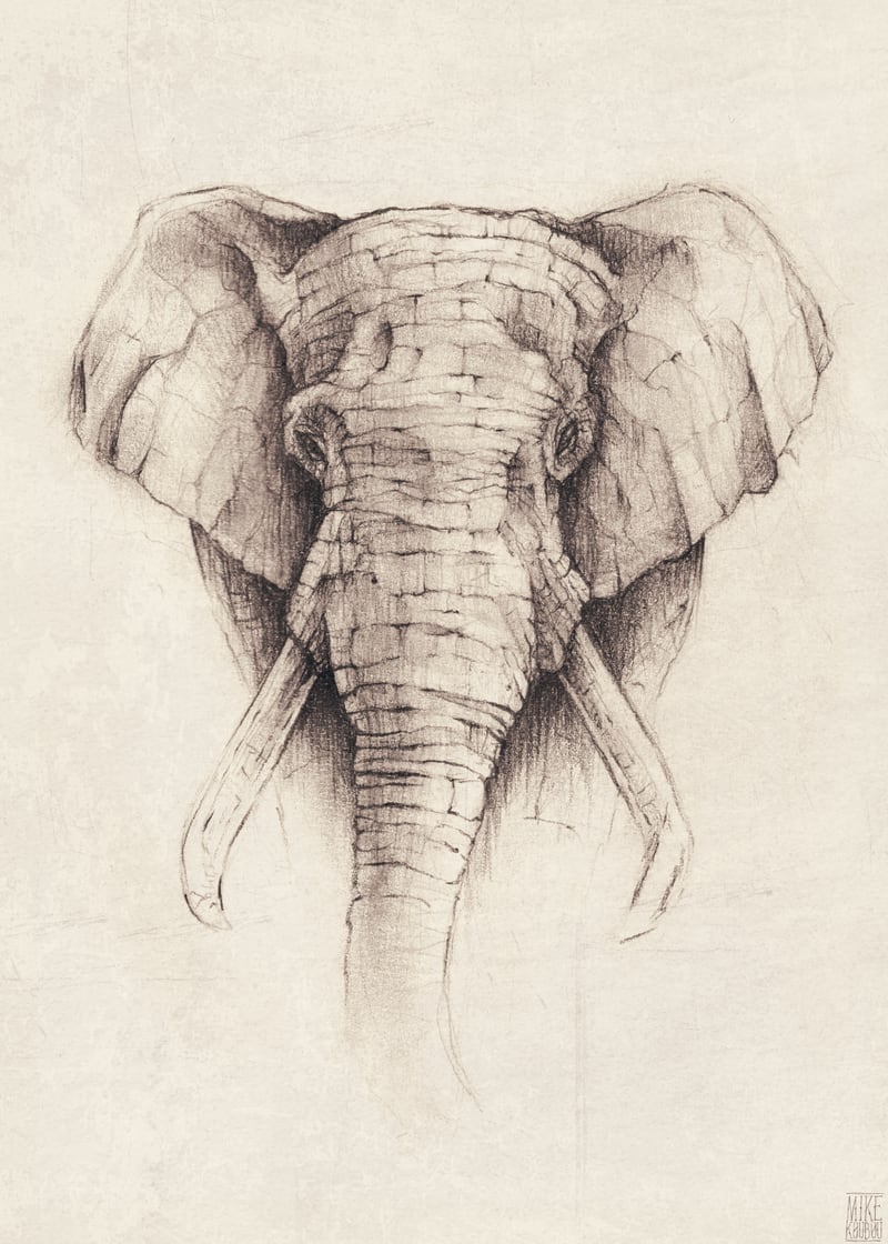 Elephant by Mike Koubou
