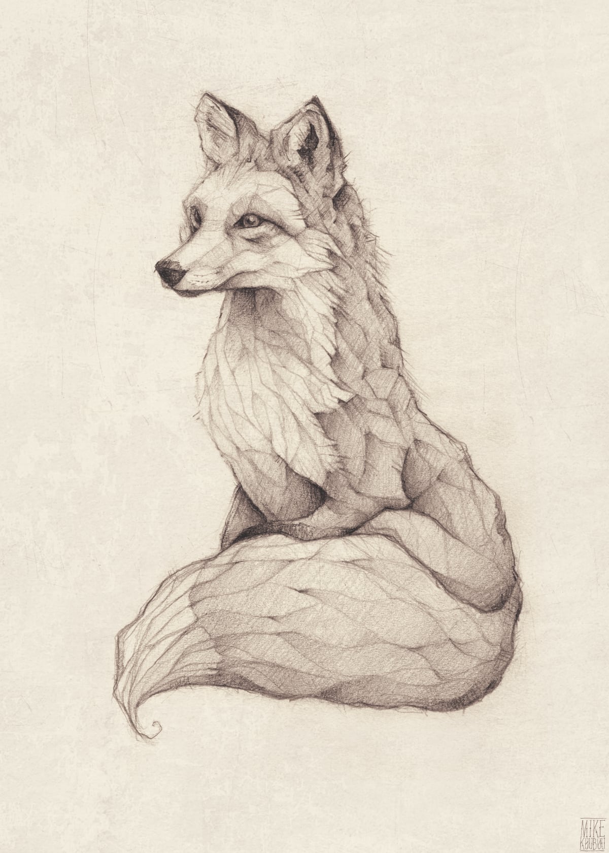Vulpes Vulpes by Mike Koubou