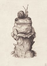 Frog and Snail by Mike Koubou thumbnail