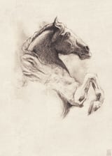Horse by Mike Koubou thumbnail