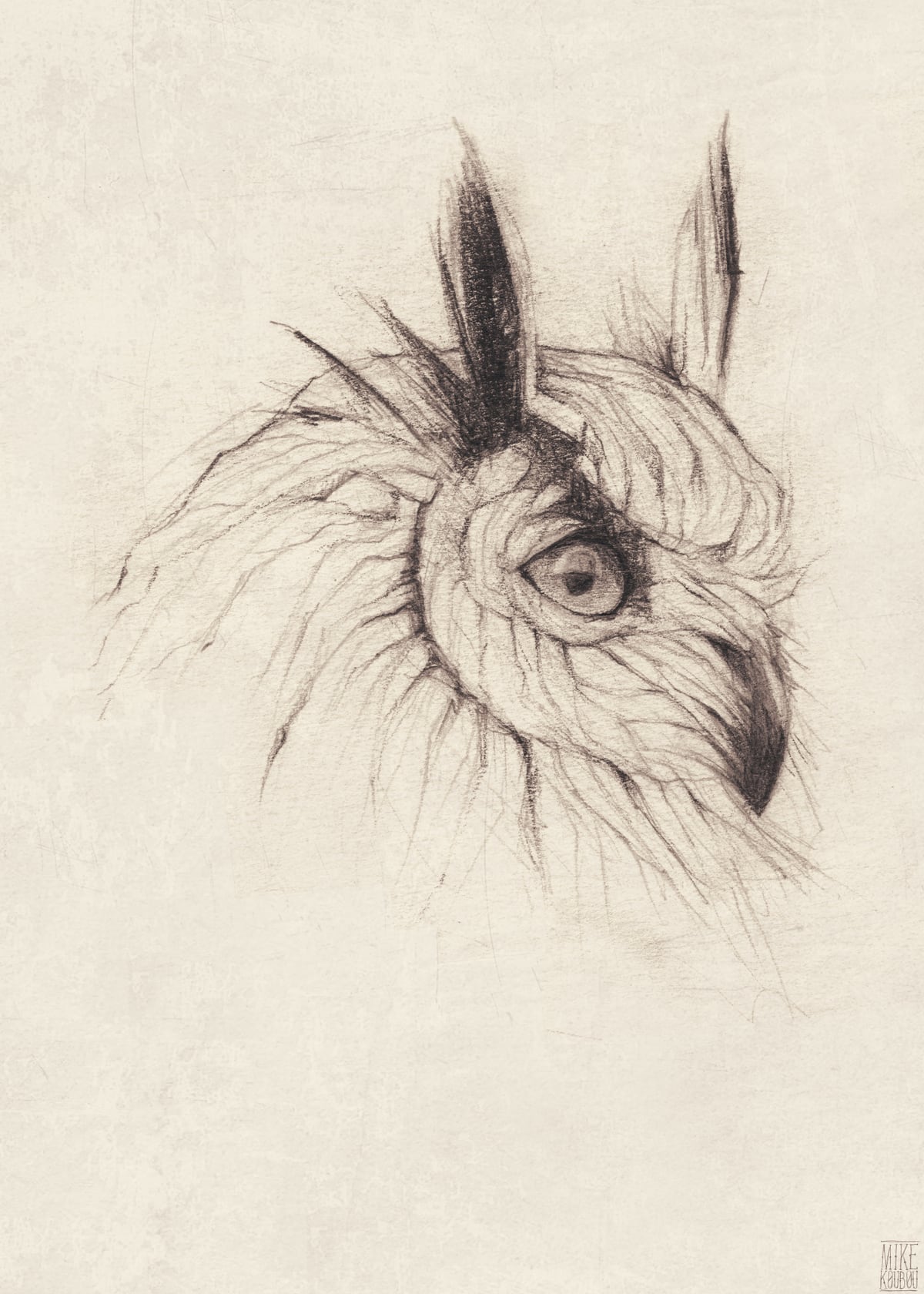Owl by Mike Koubou